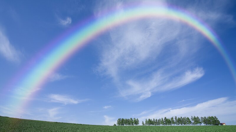 Rainbow over green field