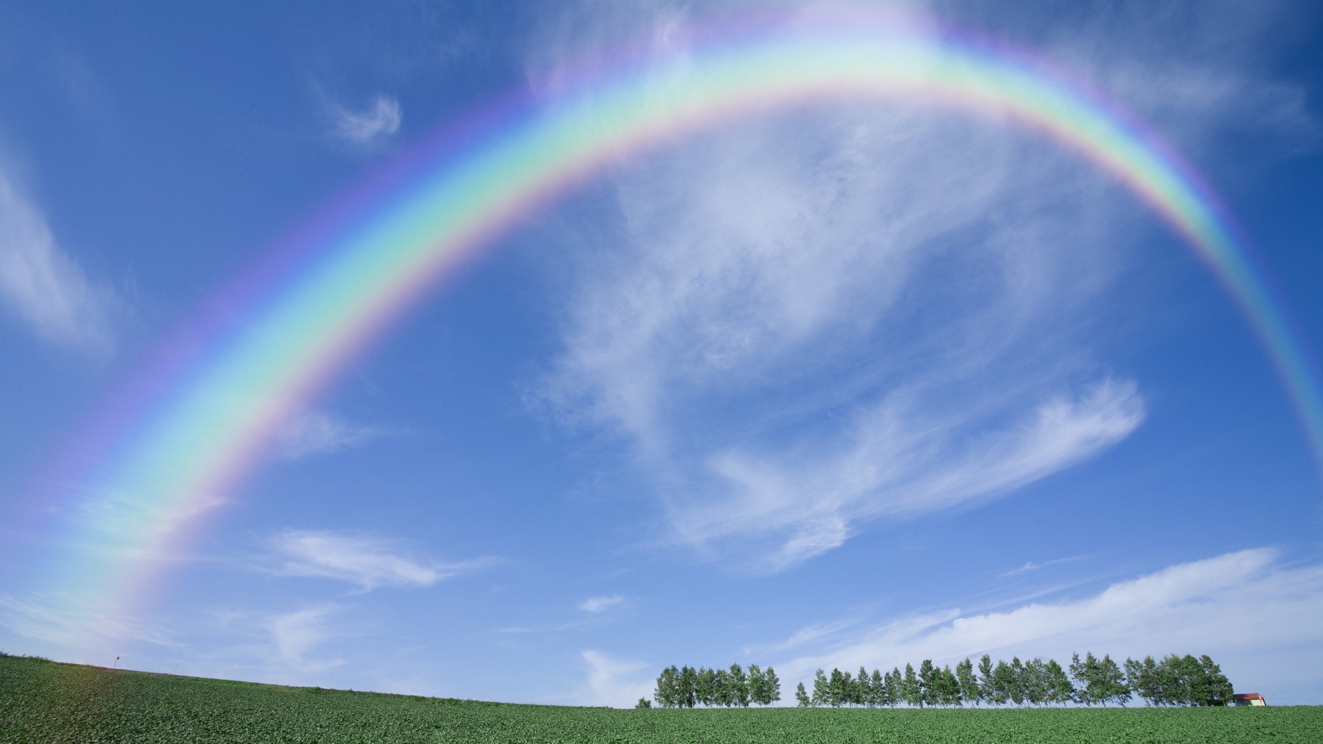 Rainbow over green field