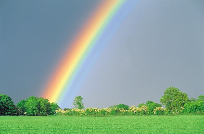 Rainbow over green field