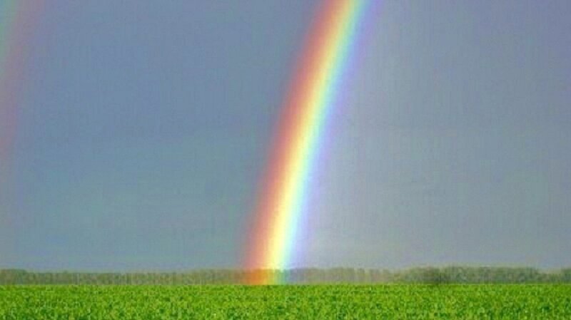 Rainbow over green field