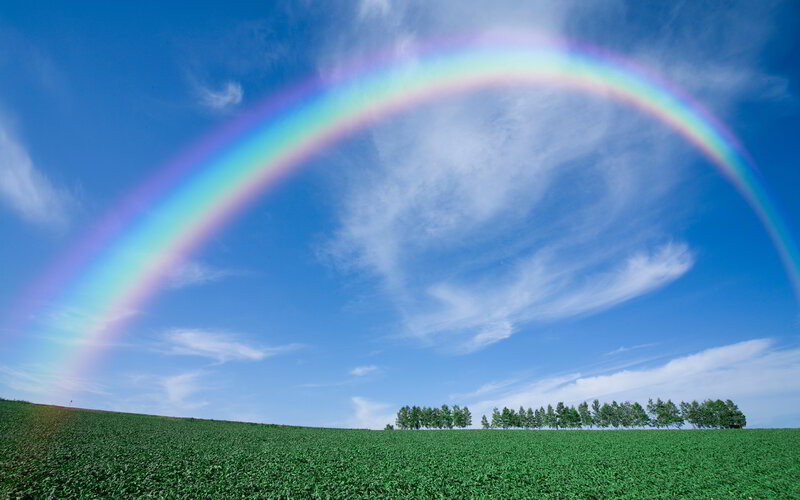 Rainbow over Green Field — Blue, Serene, Afternoon