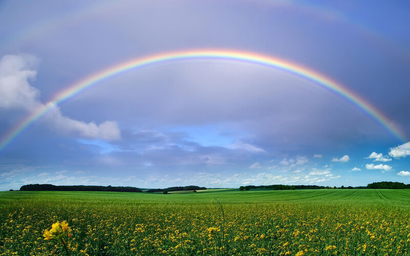 Rainbow over Green Field — Serene, Afternoon, Photograph, Clouds, Trees