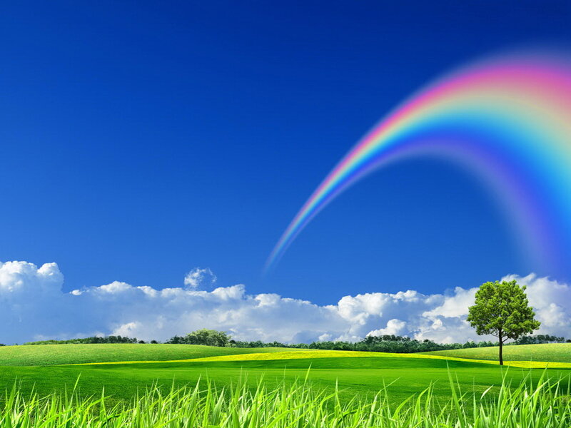 Rainbow over Green Field — Serene, Afternoon, Photograph