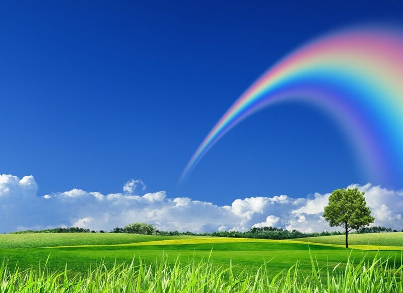 Rainbow over Green Field — Serene, Afternoon