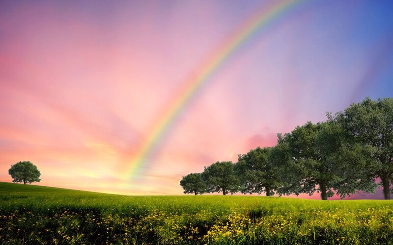 Rainbow over Green Field — Serene, Sunset, Photograph
