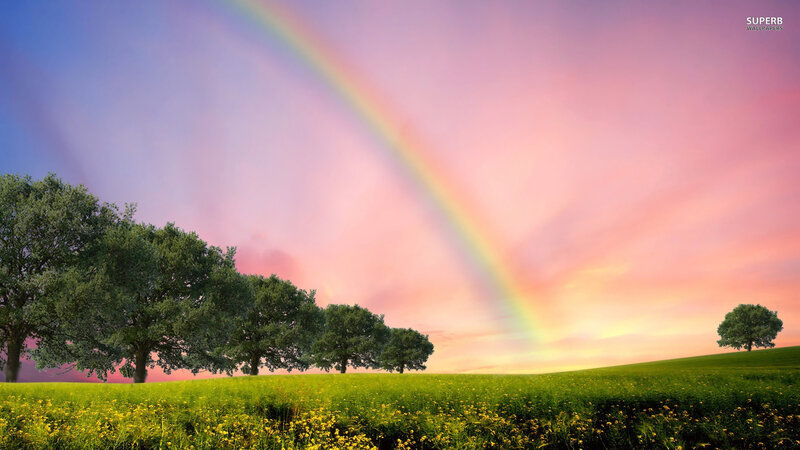 Rainbow over Green Field — Serene, Sunset, Photograph, Trees, Sky