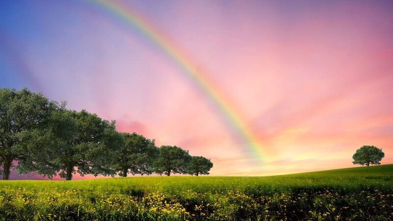 Rainbow over Green Field — Serene, Sunset, Photograph, Trees
