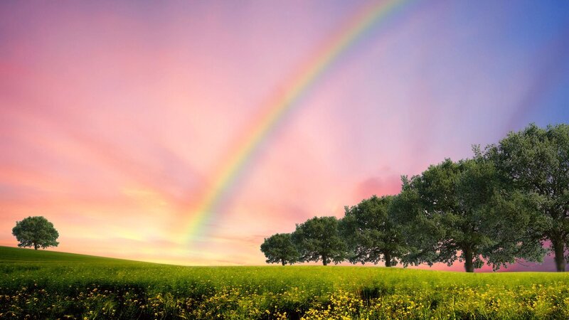Rainbow over Green Field — Serene, Sunset