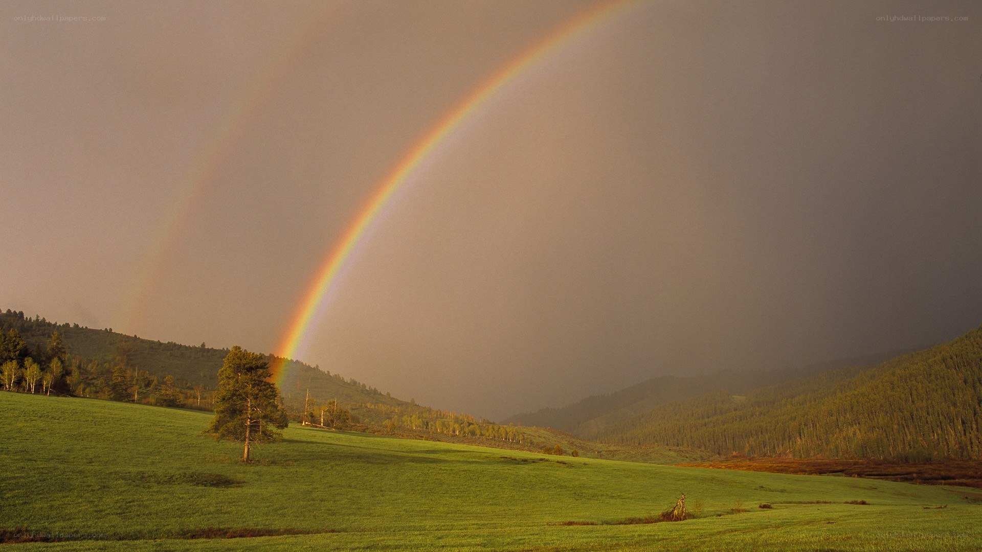 Rainbow over green hills