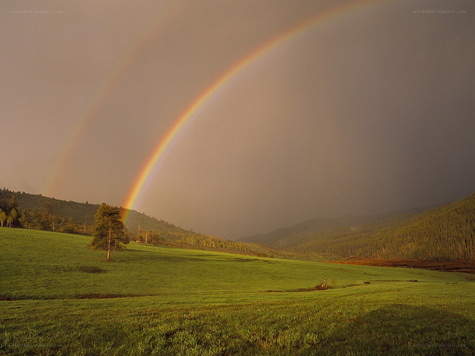 Rainbow over green hills