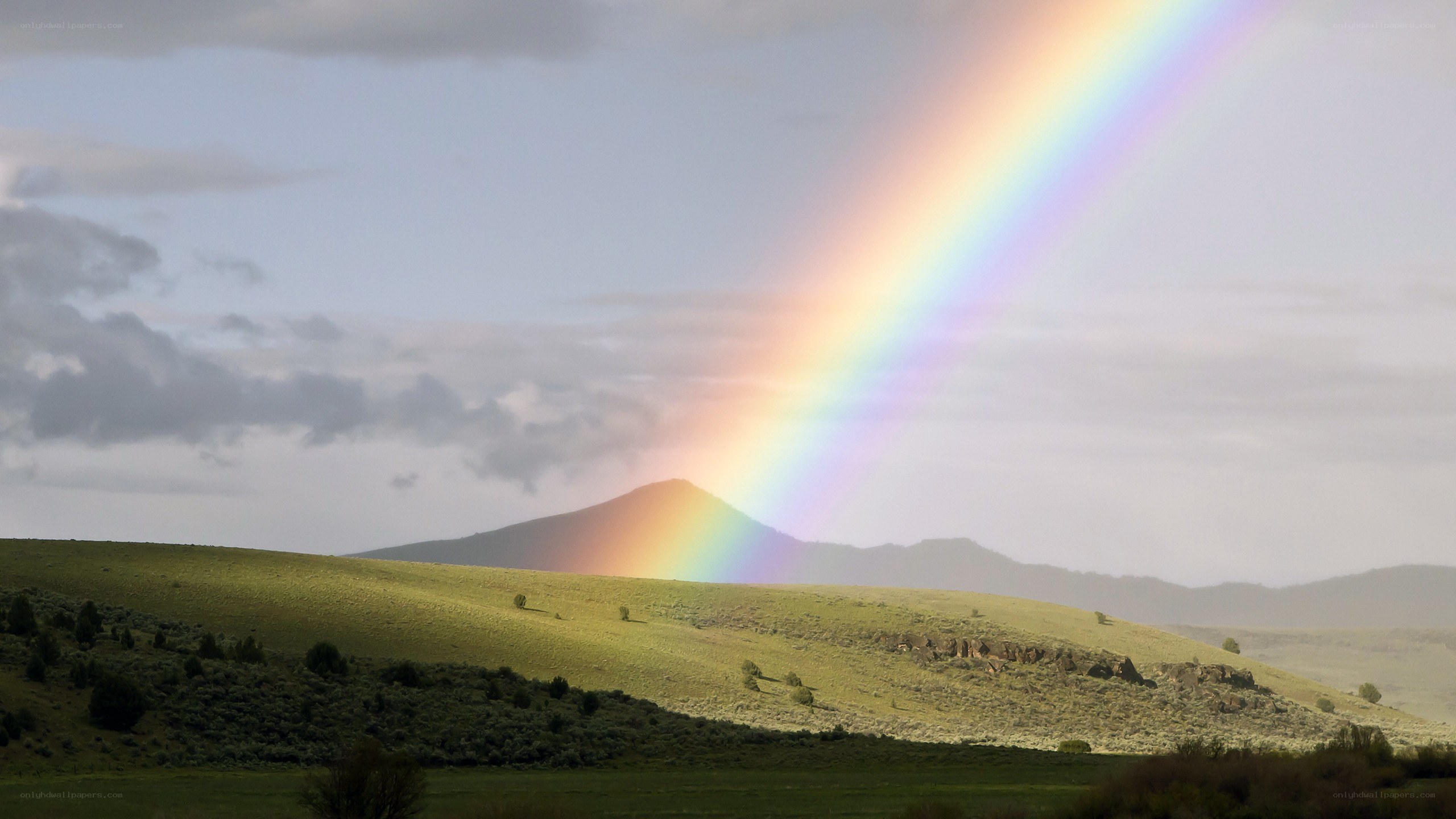 Rainbow over green hills
