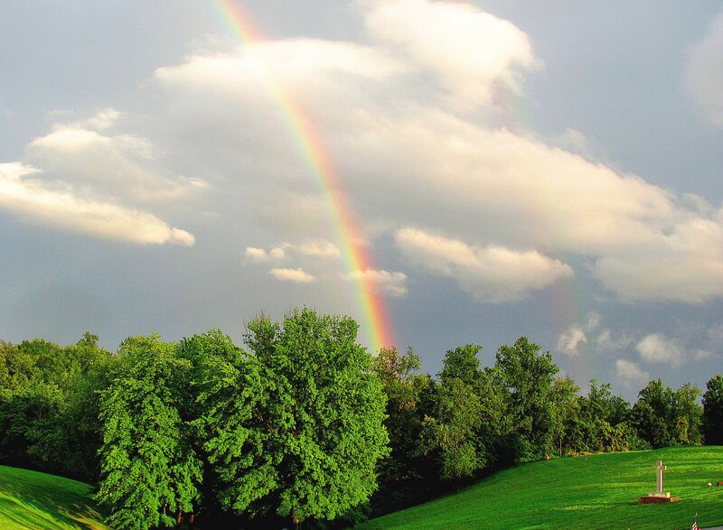 Rainbow over Green Trees