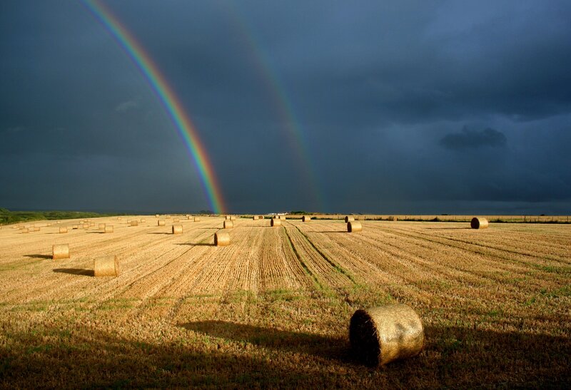 Rainbow over hay bales