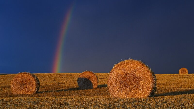 Rainbow over hay bales