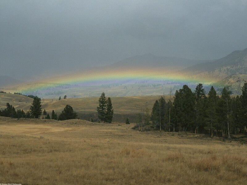Rainbow over Hills — Brown