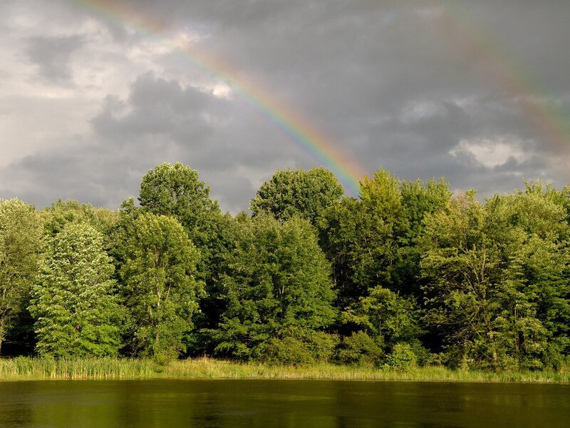 Rainbow over Lake — Green, Dramatic, Afternoon, Photograph, Trees