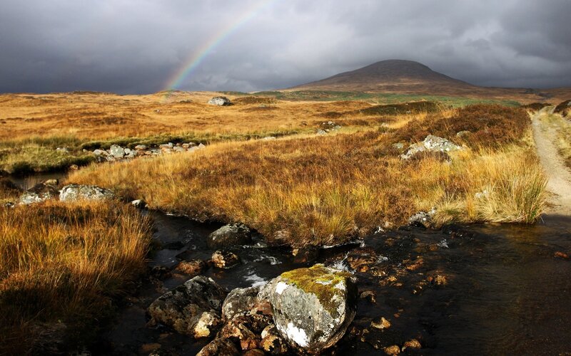 Rainbow over Moorland — Brown, Dramatic