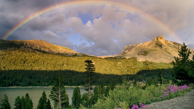 Rainbow over Mountain Lake — Green, Serene, Afternoon, Photograph, Mountains, Forest