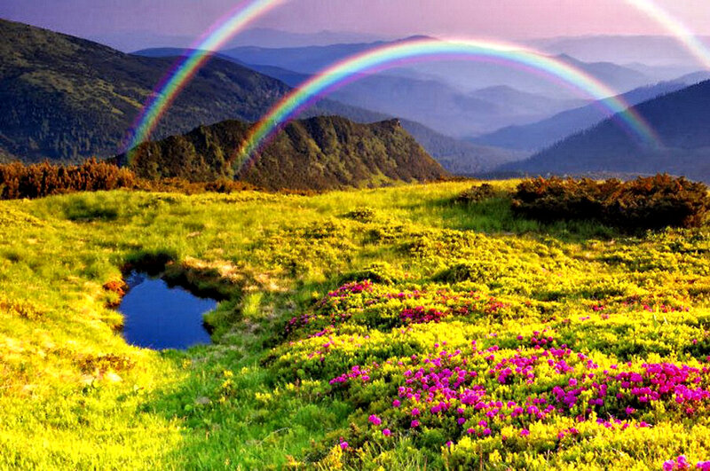 Rainbow over Mountain Meadow — Green