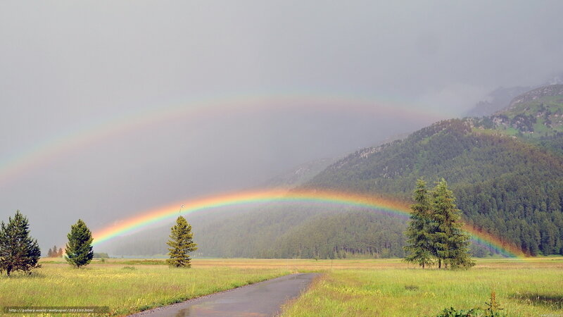 Rainbow over mountain meadow