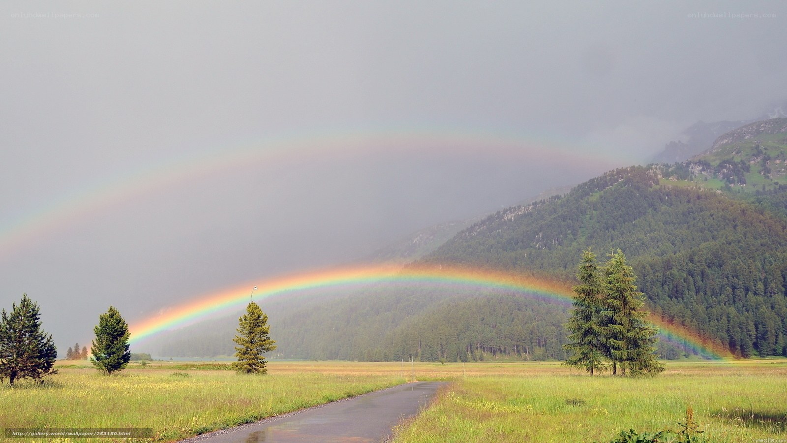 Rainbow over mountain meadow