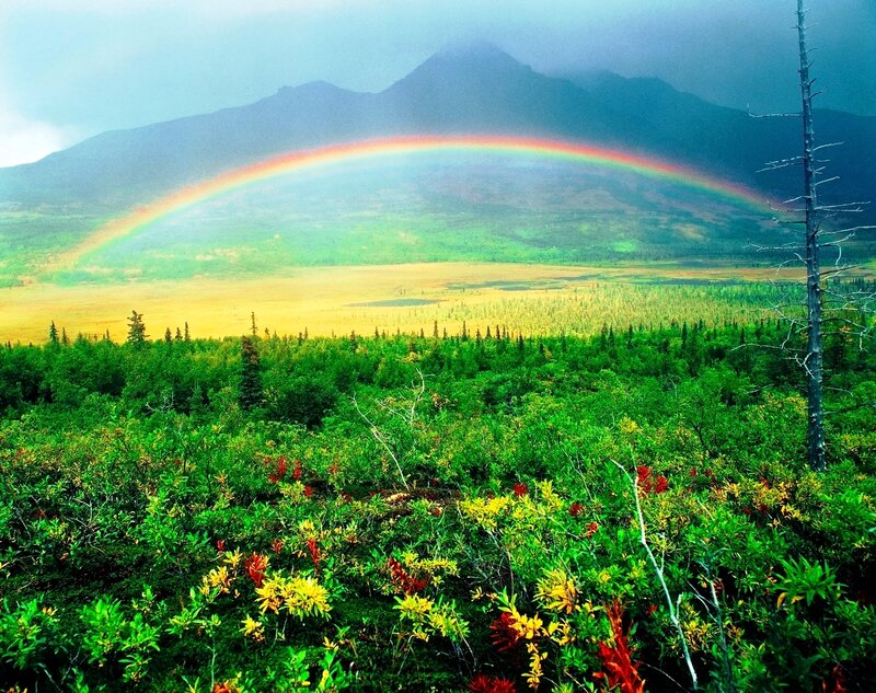 Rainbow over Mountain Valley — Green, Dramatic, Afternoon, Photograph, Forest