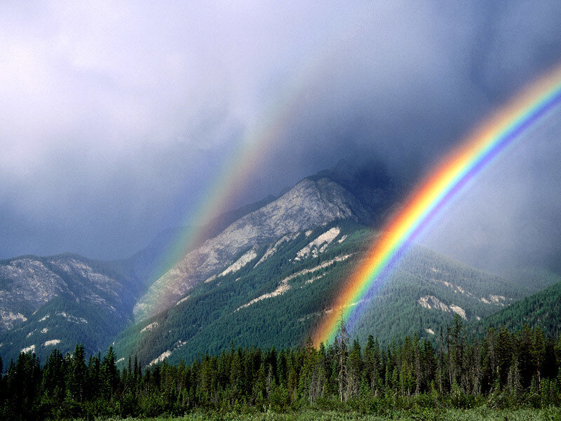 Rainbow over Mountains — Green, Dramatic, Photograph, Forest