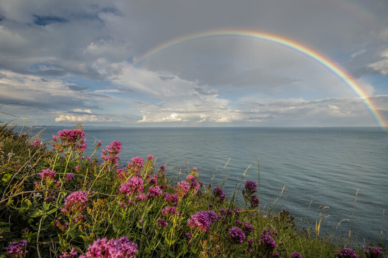 Rainbow over Ocean — Purple, Serene