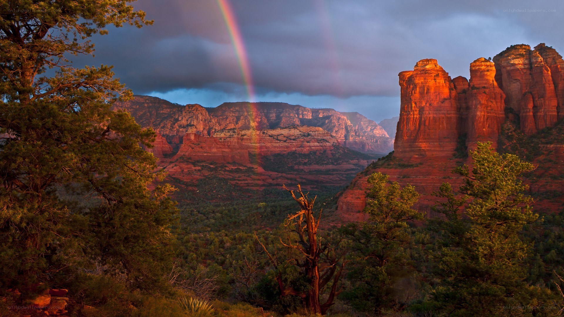 Rainbow over red rock canyon