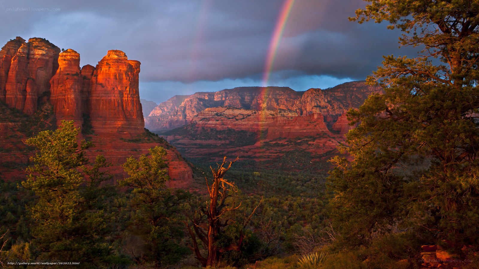 Rainbow over red rock canyon