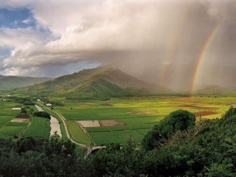 Rainbow over Rice Fields — Green, Dramatic, Afternoon, Photograph