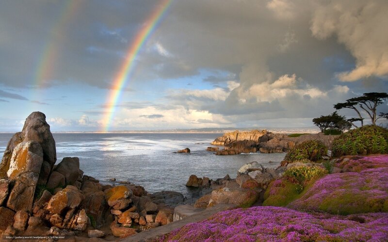 Rainbow over Rocky Coast — Purple