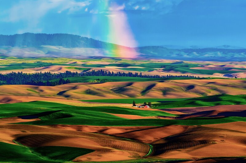 Rainbow over Rolling Hills — Green, Serene, Afternoon