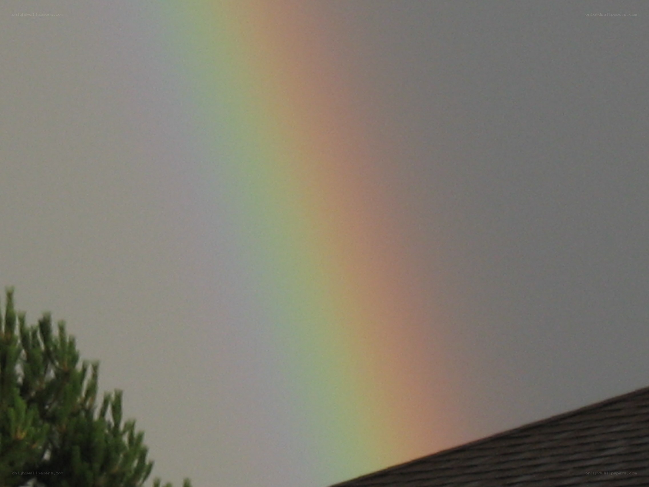 Rainbow over roof