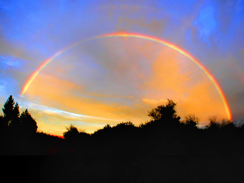 Rainbow over silhouetted trees