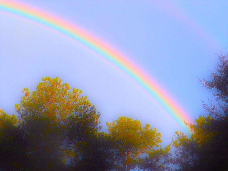 Rainbow over Trees — Blue, Serene