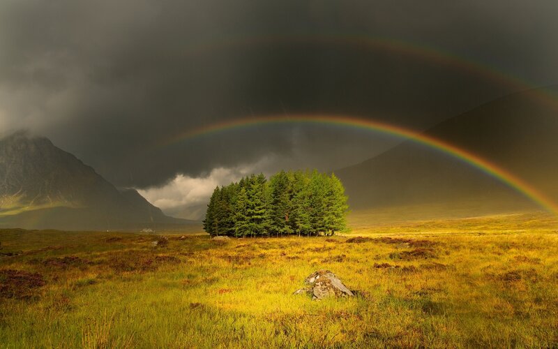 Rainbow over Trees — Green, Dramatic, Afternoon