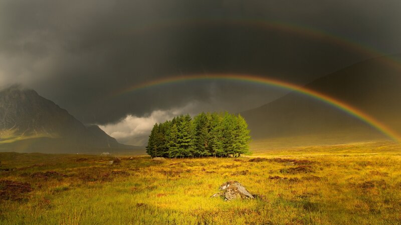 Rainbow over Trees — Green, Dramatic