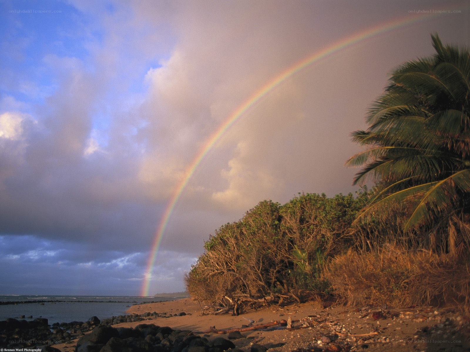 Rainbow over tropical beach