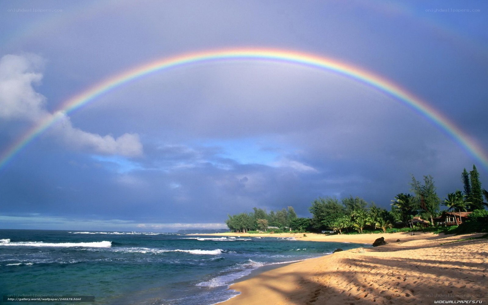 Rainbow over tropical beach
