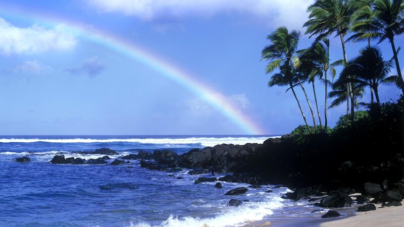 Rainbow over Tropical Beach — Blue, Serene, Afternoon, Photograph, Palm Trees, Ocean, Rocks