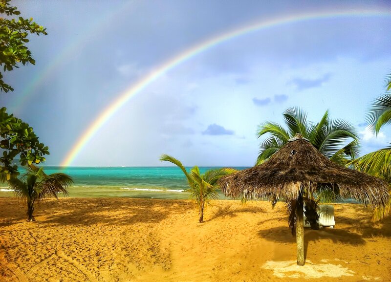 Rainbow over Tropical Beach — Blue, Serene, Afternoon, Photograph, Palm Trees, Thatched Umbrella