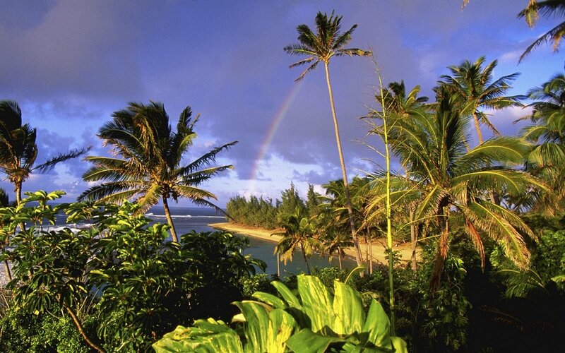 Rainbow over Tropical Beach — Green, Serene, Sunset