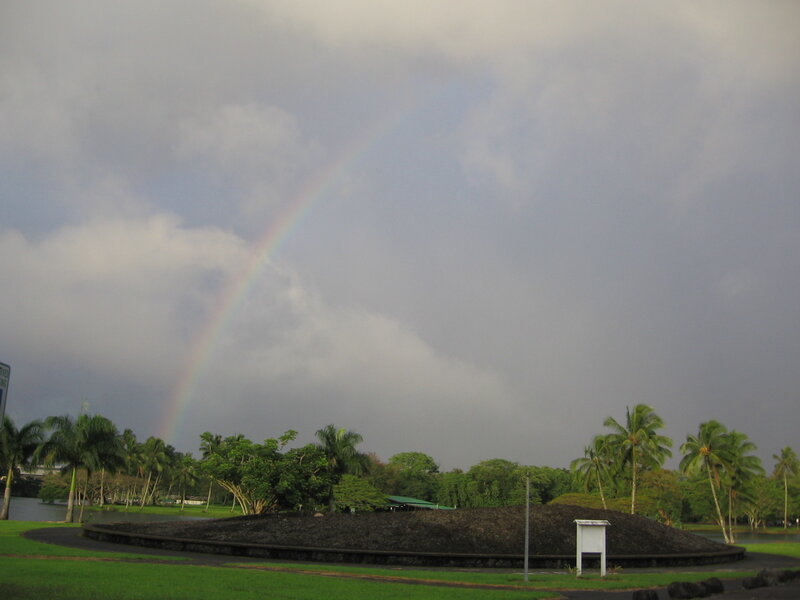 Rainbow over tropical park