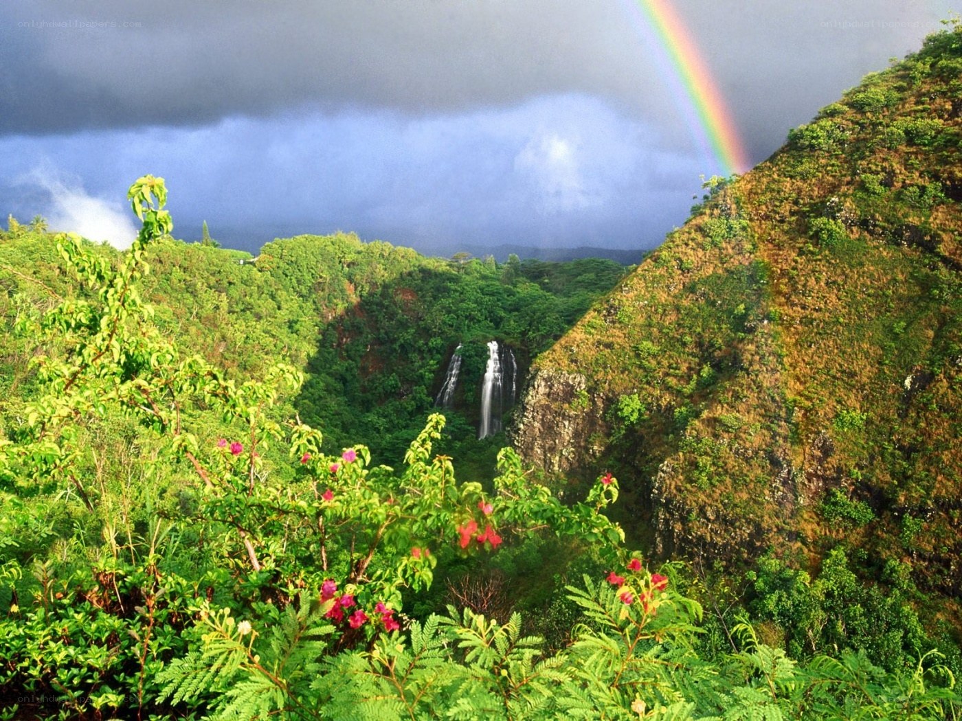 Rainbow over tropical waterfall