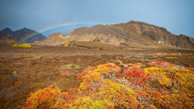 Rainbow over Volcanic Landscape — Brown
