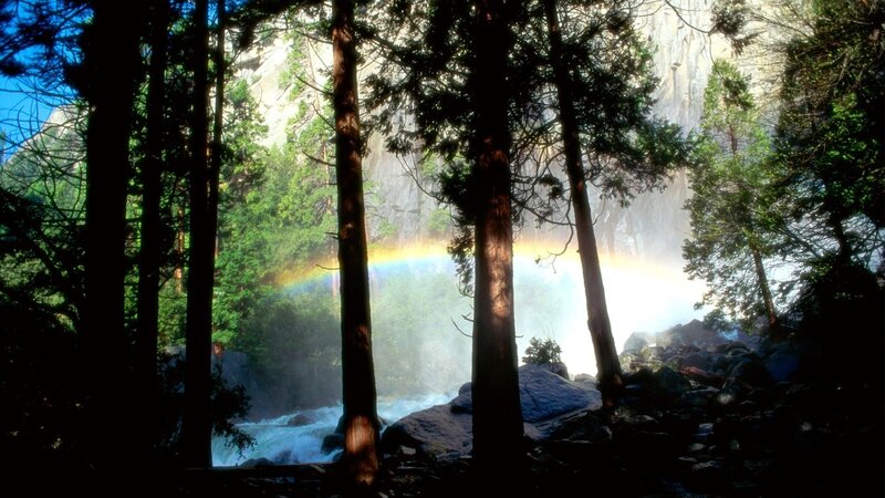 Rainbow over Waterfall — Green, Serene, Afternoon, Photograph, Forest, Trees