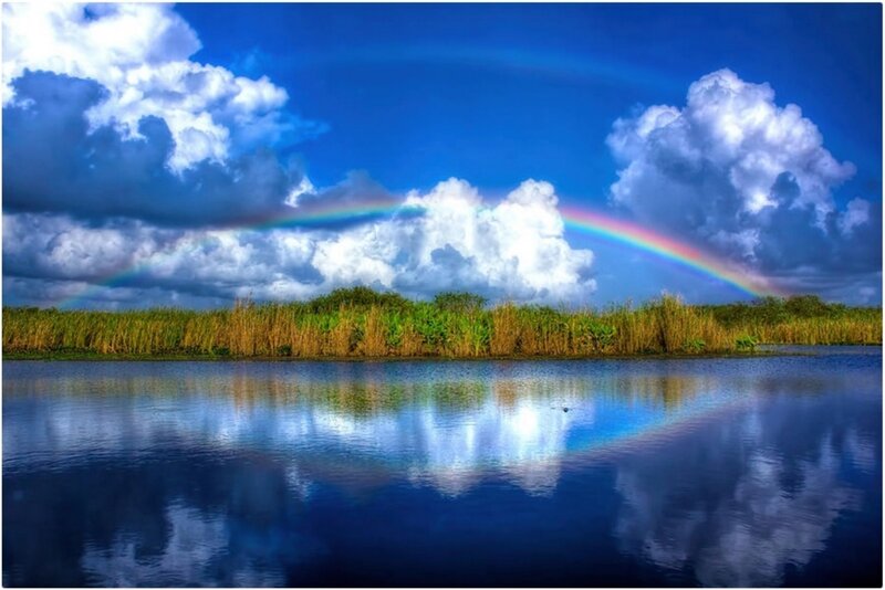 Rainbow over Wetland