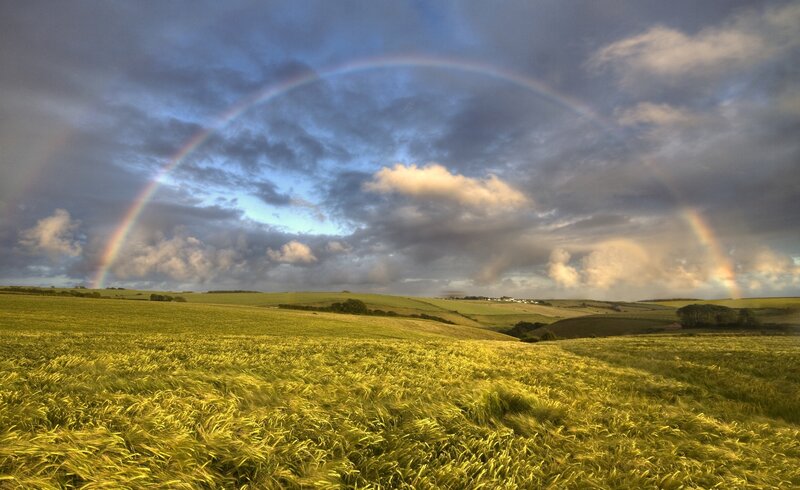 Rainbow over Wheat Field — Green