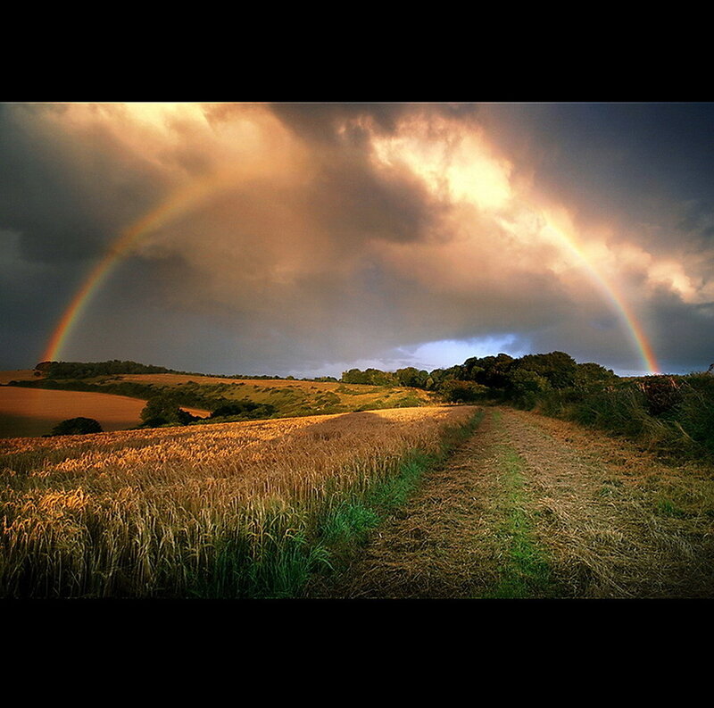 Rainbow over Wheat Field — Yellow, Dramatic
